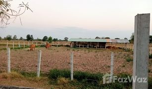N/A Land for sale in Non Sa-Nga, Roi Et 
