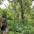  Land for sale in South Tongu Volta, South Tongu, Volta, Ghana