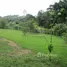  Land for sale in Floridablanca, Santander, Floridablanca