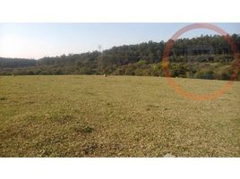  Land for sale in Salto, Salto, Salto