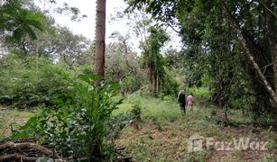N/A Land for sale in Ko Phayam, Ranong 