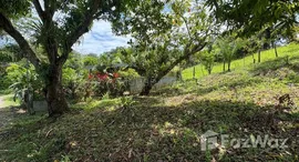 Unités disponibles à Quepos