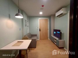 คอนโด 1 ห้องนอน ให้เช่า ในโครงการ แอทโมซ คาแนล รังสิต, บางพูน, เมืองปทุมธานี