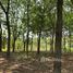  Land for sale in Thailand, Tha Chanuan, Manorom, Chai Nat, Thailand