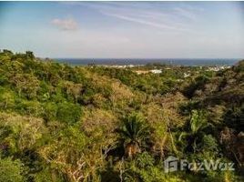  Terreno (Parcela) en venta en Roatan, Islas De La Bahia, Roatan