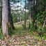  Land for sale in Costa Rica, San Carlos, Alajuela, Costa Rica