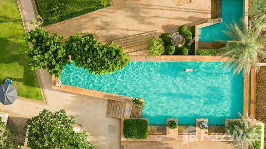 图片 1 of the Communal Pool at Movenpick Resort