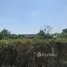  Land for sale in Sai Noi, Nonthaburi, Sai Noi, Sai Noi, Nonthaburi
