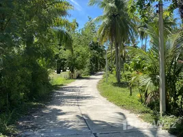  Land for sale in Khanom, Nakhon Si Thammarat, Khanom