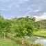  Land for sale in Kanchanaburi, Lin Thin, Thong Pha Phum, Kanchanaburi