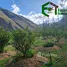 在Calca, Cusco出售的 土地, Calca, Calca