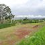  Land for sale in Naranjo, Alajuela, Naranjo