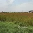  Land for sale in Bangkok, Lat Krabang, Lat Krabang, Bangkok