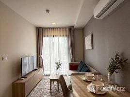 1 Bedroom Condo for rent at The Base Rise, Wichit, Phuket Town, Phuket, Thailand