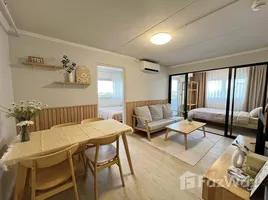 คอนโด 2 ห้องนอน ให้เช่า ในโครงการ โมริ คอนโดมิเนียม, บ้านใหม่