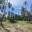 ขายที่ดิน ใน ตลิ่งงาม, สุราษฎร์ธานี, ตลิ่งงาม, เกาะสมุย