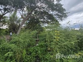  Земельный участок for sale in Чианг Маи, Han Kaeo, Ханг Донг, Чианг Маи