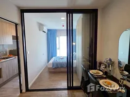 1 Bedroom Condo for rent at Modiz Sukhumvit 50, Phra Khanong, Khlong Toei, Bangkok, Thailand