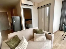 Studio Appartement zu vermieten im Batu Ferringhi, Tanjong Tokong
