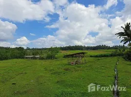  Terrain for sale in Tabanan, Bali, Selemadeg, Tabanan