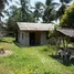 Land for sale in Wang Phai, Chumphon, Wang Phai, Mueang Chumphon, Chumphon