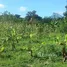  Grundstück zu verkaufen im Puerto Plata, San Felipe De Puerto Plata