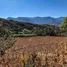  Terrain for sale in Loja, Catacocha, Paltas, Loja