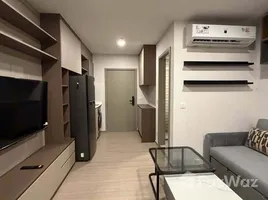 คอนโด 1 ห้องนอน ให้เช่า ในโครงการ แอสปาย สุขุมวิท-พระราม 4, พระโขนง