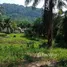  Земельный участок for sale in Nong Thale, Краби, Nong Thale, Mueang Krabi, Краби