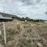 ขายที่ดิน ใน หนองแก, หัวหิน, หนองแก, หัวหิน, ประจวบคีรีขันธ์, ไทย