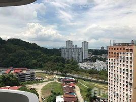 3 Bilik Tidur Apartmen for sale at Gambier Heights Apartment, Paya Terubong, Timur Laut Northeast Penang, Penang, Malaysia