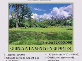  Land for sale in Pococi Limon, Pococi, Limon