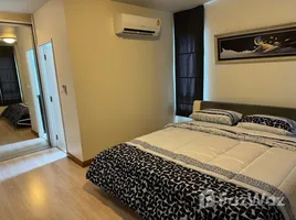 คอนโด 2 ห้องนอน ให้เช่า ในโครงการ สุขุมวิท พลัส, พระโขนง