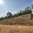  Land for sale in Phetchabun, Na Ngua, Mueang Phetchabun, Phetchabun