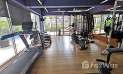 Фото 3 of the Communal Gym at Ariel Apartments