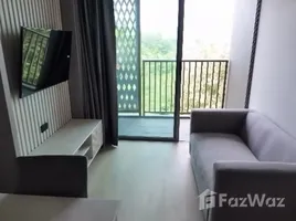 ขายอพาร์ทเม้นท์ 1 ห้องนอน ในโครงการ ดิ โอโซน คอนโดมิเนียม, เชิงทะเล, ถลาง, ภูเก็ต