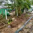  Terreno (Parcela) en venta en Bo Phut, Surat Thani, Bo Phut, Koh Samui, Surat Thani, Tailandia