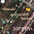  Land for sale in Sai Noi, Sai Noi, Sai Noi