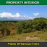  Terreno (Parcela) en venta en Puerto Princesa City, Mimaropa, Puerto Princesa City, Palawan