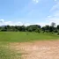  Land for sale in Chiang Mai, Nong Yaeng, San Sai, Chiang Mai