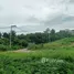  Land for sale in Thailand, Bo Phut, Koh Samui, Surat Thani, Thailand