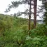  Grundstück zu verkaufen in Baguio City, Cordillera, Baguio City, Benguet