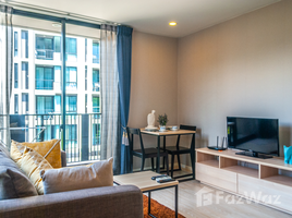 1 Bedroom Condo for rent at Palm Springs Nimman Fountain , Suthep
