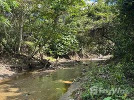  Land for sale at Puerto Plata, San Felipe De Puerto Plata, Puerto Plata, Dominican Republic