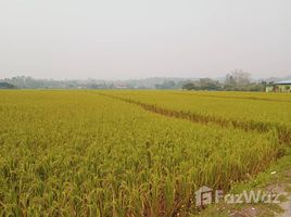  Terrain for sale in San Sai, Chiang Mai, Mae Faek Mai, San Sai