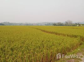  Grundstück zu verkaufen in San Sai, Chiang Mai, Mae Faek Mai, San Sai