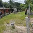 ขายที่ดิน ใน ภูเก็ต, ศรีสุนทร, ถลาง, ภูเก็ต