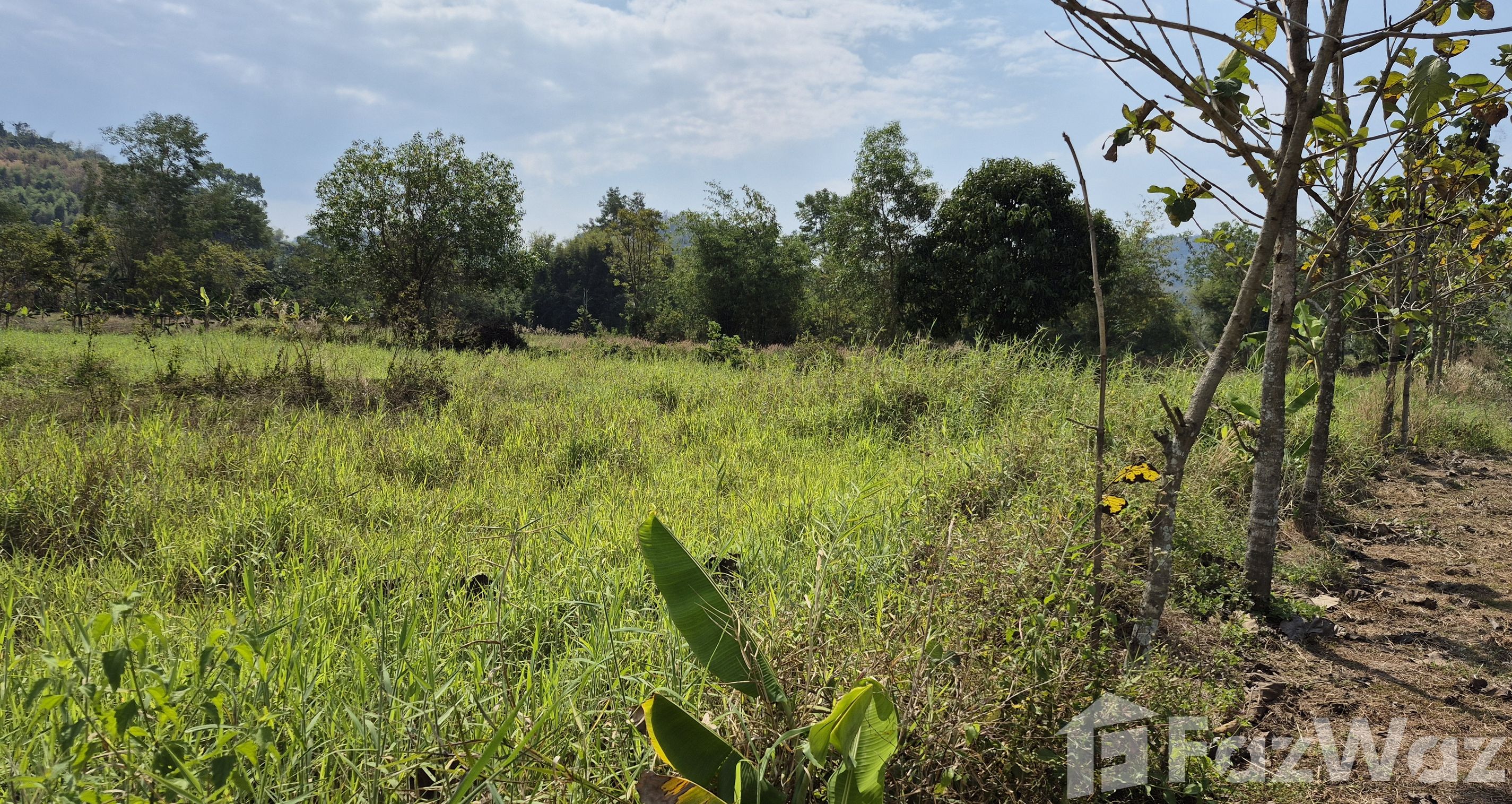 Beautiful Agricultural Plot 6-3-59 in Tha Maprang