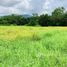  Terreno (Parcela) en venta en Jalisco, Cabo Corrientes, Jalisco