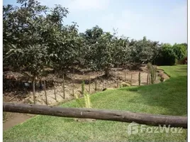  Terreno (Parcela) en venta en Plaza De Armas, Distrito de Lima, Distrito de Lima